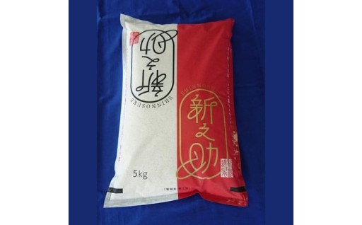 【令和7年産米】新潟県村上市 新之助5kg