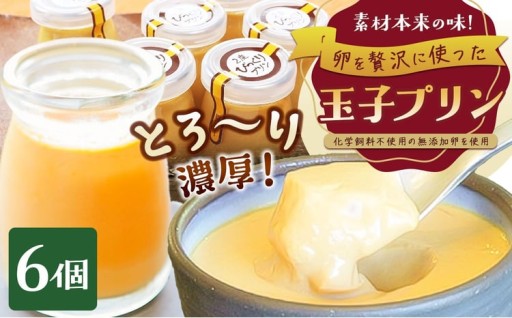 とろ～り濃厚！ 玉子プリン6個セット