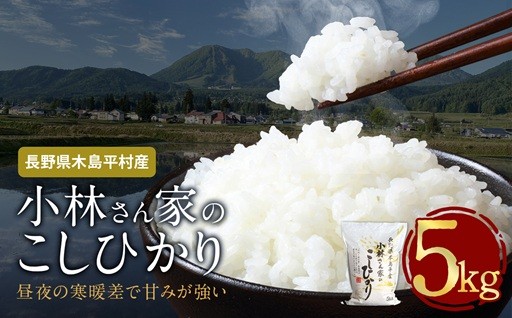 木島平産 小林さん家のこしひかり 約5kg