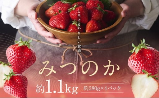 希少な地元産いちご 『みつのか』 280g×4パック 計1.12kg