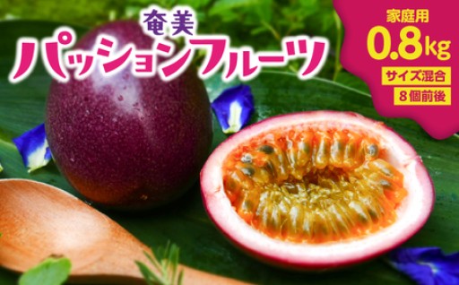 【2026年先行予約】奄美パッションフルーツ 0.8kg 家庭用（サイズ混合）（8個前後）