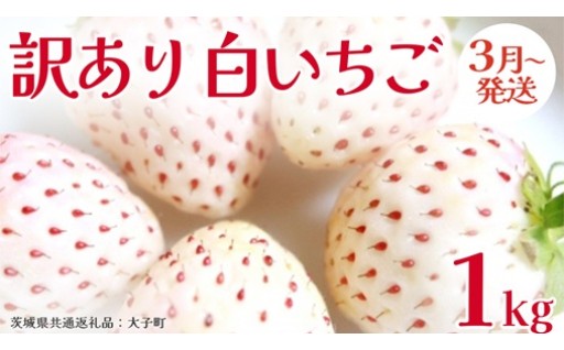 ＼味は変わらずたっぷりお届け／訳あり 白いちご 1kg