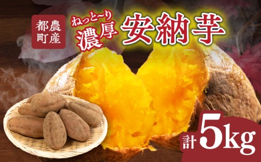 【宮崎県都農町】✨期間限定✨都農町産安納芋(計5kg)🍠