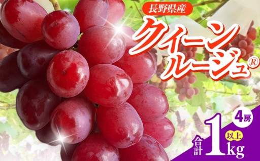 信州伊那産ぶどう クイーンルージュ(R) 4房