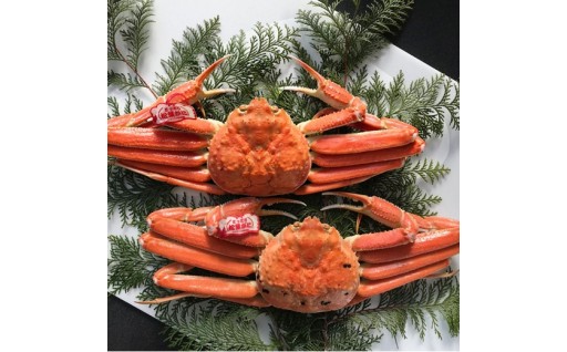 受付終了間近！！浜下商店　松葉ガニ