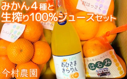 みかん4種（計約8kg）と生搾りジュースセット