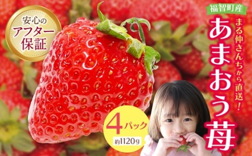 【あまおう苺】農家さんから直送！大きくてみずみずしい苺をお届け♪
