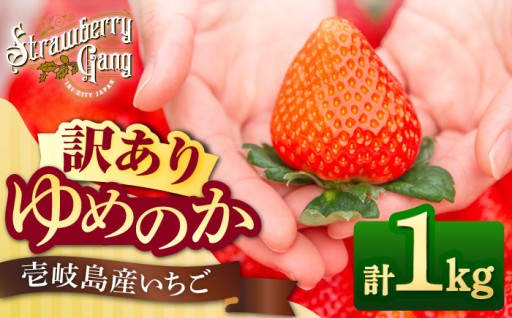 🍓【寄附額変更のお知らせ】農園の思いが育てる苺🍓