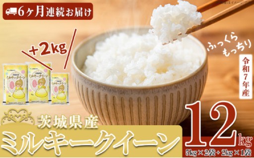 締切1/21まで：最終６ヵ月定期（１月出荷開始分）R7年産 ミルキークイーン 精米 12kg
