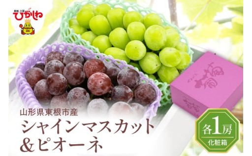 【山形県東根市】✨🍇ぶどうの詰め合わせ🍇✨