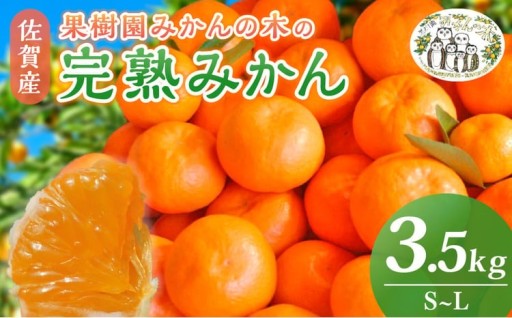 果樹園みかんの木の完熟みかん 3.5kg