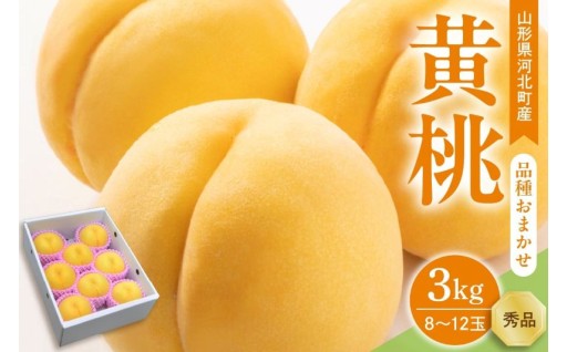 🍑【令和8年産】黄桃 品種おまかせ 3kg🍑