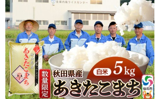 【白米】あきたこまち 5kg（5kg×1袋）精米 秋田県仙北市産 5キロ