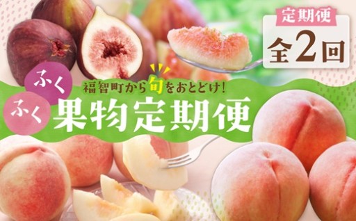 【旬の時期に直送】福智町から夏の果物をギュッとお届け！ 桃＆いちじく定期便