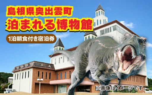 泊まれる博物館｢1泊朝食付き宿泊券｣1名様🦖