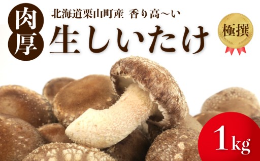 北海道栗山町産 肉厚！生しいたけ