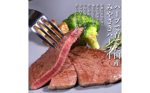 宮崎県産牛肉「ハーブ牛」ヒレステーキ