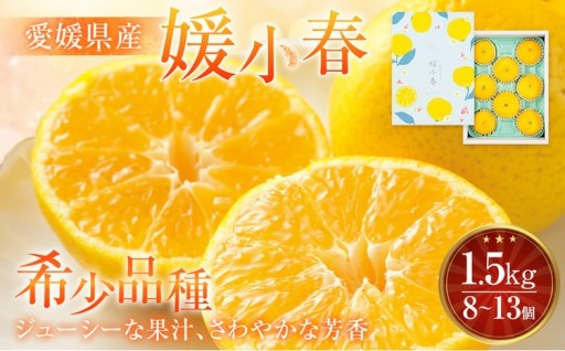 【先行予約】 愛媛県産 媛小春 1.5kg（8～13個）