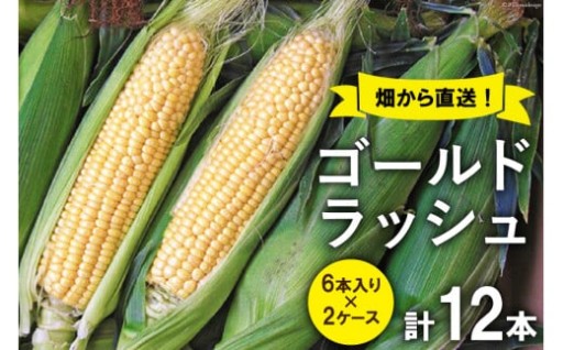 スイートコーン (ゴールドラッシュ) 12本