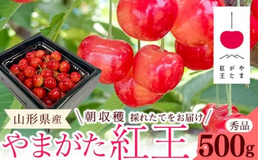 山形から登場した大玉品種「やまがた紅王」