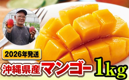 【2026年発送】濃厚な甘さ！とろける食感！沖縄県産マンゴー1kg