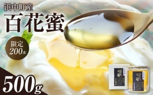 🐝【戻れない美味しさ】別格の国産百花蜜500g🐝