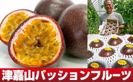 【2026年発送】津嘉山パッションフルーツ　約1kg