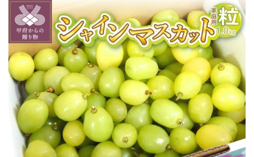 シャインマスカット 家庭用（粒 1.0kg）