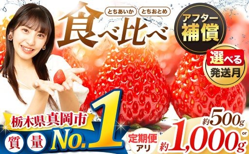 いちご とちおとめ・とちあいか 500g 1000g 食べ比べ セット