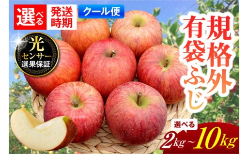 🍎選べる容量/配送時期　規格外・りんご 有袋ふじ