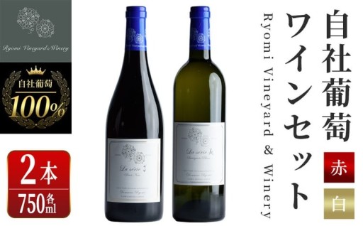 自社葡萄を使用したワインセット 750ml×2本