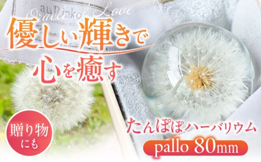 ふわり、時を止めた綿毛。球体たんぽぽハーバリウム