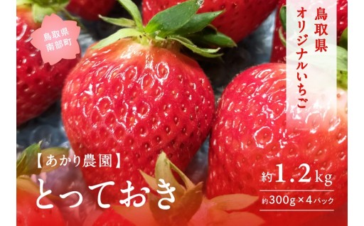 鳥取オリジナルいちご「とっておき」4パック！