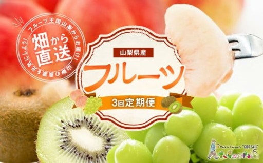 【先行受付】【3回 定期便】山梨県産 フルーツ 『桃 & シャインマスカット & キウイフルーツ』 