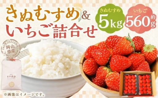 【令和7年産】 新米・精米 きぬむすめ5㎏&いちご詰合せ（約280g×2パック）