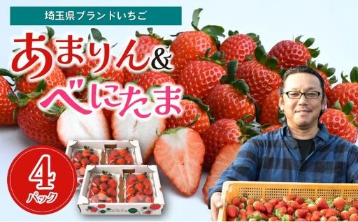【チョイス限定】＼あまりん・べにたま／数量限定！埼玉県オリジナル品種のいちご食べ比べをご紹介！