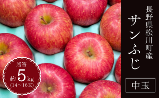 松川町産「サンふじ」〜蜜が奏でる、冬の贅沢〜