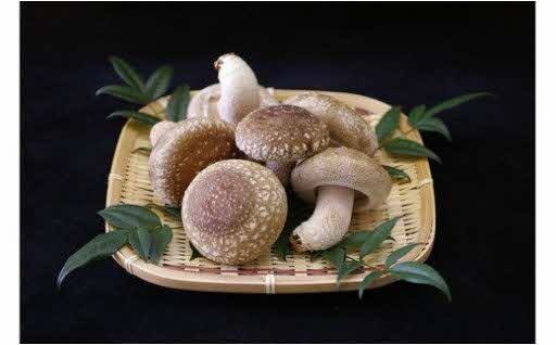 【有機】深山農園の瀬戸内しいたけ