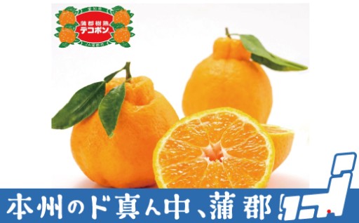 抜群の甘さと酸味が調和しとろける美味しさ！