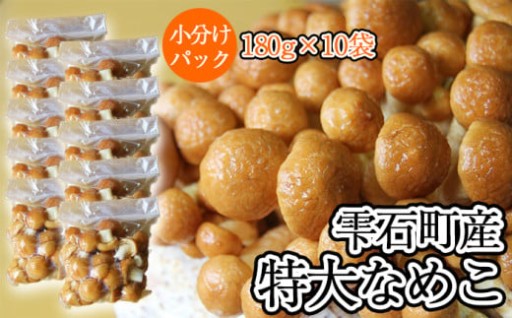 特大なめこ出荷開始！大変お待たせいたしました！