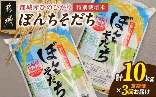 都城市より～≪3回お届け!≫都城産ひのひかり特別栽培米「ぼんちそだち」10kg定期便