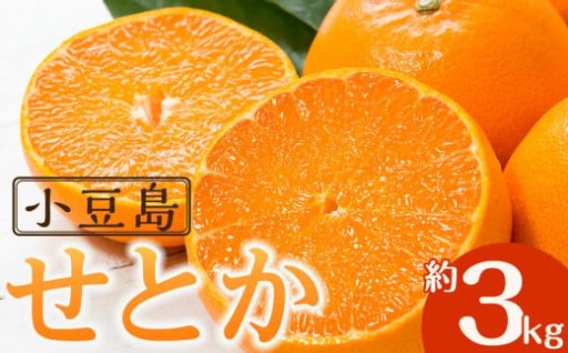 今が旬！小豆島せとか 約3kg