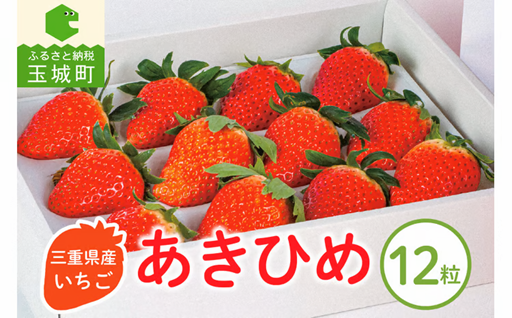 【2026年1月～3月発送】三重県玉城産 いちご 「章姫」12粒入り