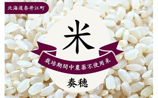 【特集】想いと手間が実る、特別なお米