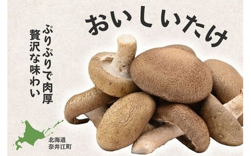 【特集】就労支援センターすまっしゅの『しいたけ』の魅力