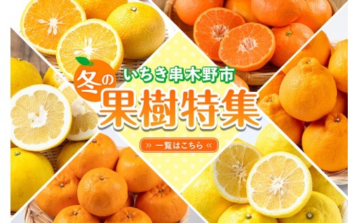 先行受付中！いちき串木野市の果樹特集♪