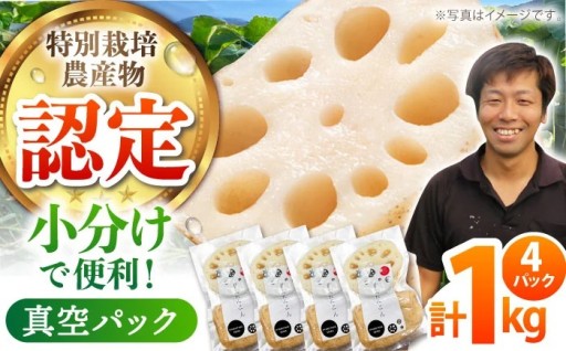 ＼本日終了／【先行予約】旬のれんこん！