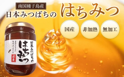 ≪数量限定≫南国種子島産！日本みつばちのはちみつ(300g)