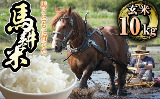 最終受付は＜2月5日＞！北の大地からの贈り物です