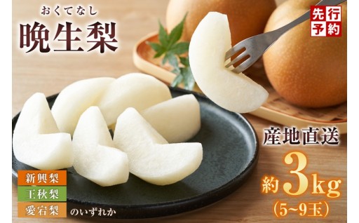 🍐【2026年度分受付中！】梨 （新興梨 王秋梨 愛宕梨のいずれか）3kg（5～9玉）🍐